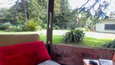 NatashaDiamond online show from 06-23-26, 01:42
