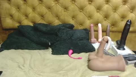 Snapshot of nathaliasmith3x chatting on 01-28-25, 06:16 Nathalia online show from 01-28-25, 06:16