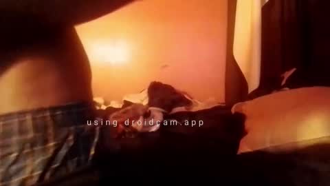 Snapshot of nathanbutler0 chatting on 10-31-25, 05:52 nathanbutler0 online show from 10-31-25, 05:52