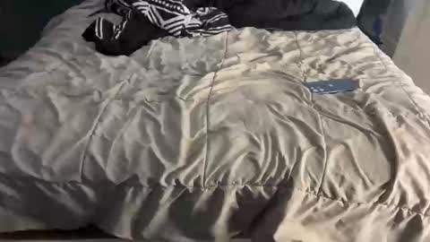 nativesancho online show from 02-01-26, 01:31