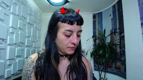 Kitten online show from 12-26-24, 02:59
