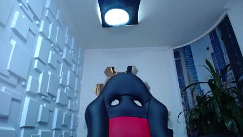 Kitten online show from 12-28-24, 11:19
