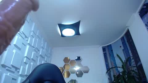 Kitten online show from 12-28-24, 02:21