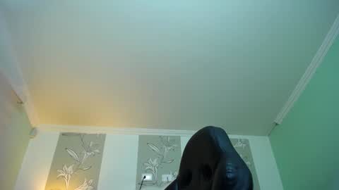 Kitten online show from 01-12-25, 11:28