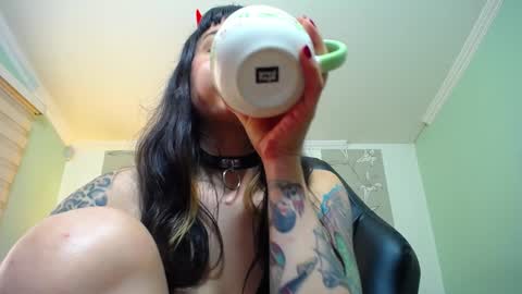Kitten online show from 01-12-25, 02:30