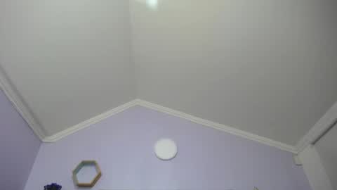 Kitten online show from 01-25-25, 11:34
