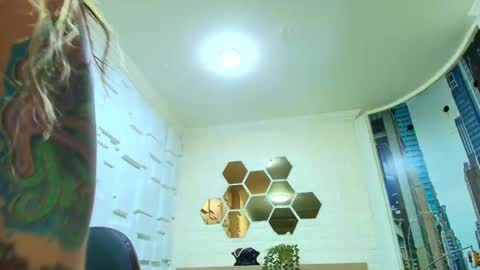 Kitten online show from 02-12-26, 10:43