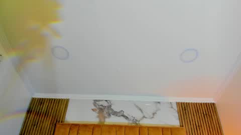 Kitten online show from 05-08-26, 11:04