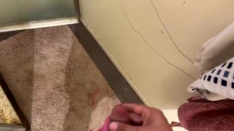 nbarrie98 online show from 12-07-24, 04:25