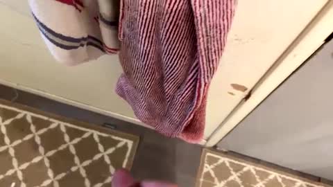 nbarrie98 online show from 02-09-25, 04:18