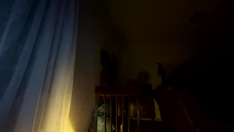 Snapshot of nboss55 chatting on 10-08-25, 05:16 nboss55 online show from 10-08-25, 05:16