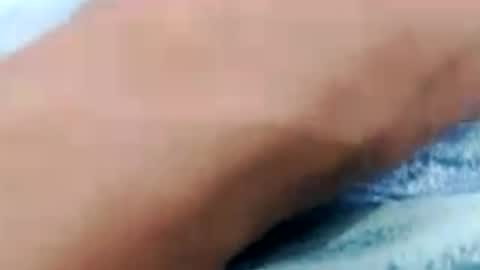 Snapshot of negrett_ chatting on 06-06-26, 04:12 negrett_ online show from 06-06-26, 04:12