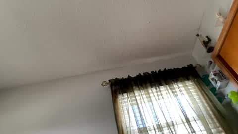 Nellie Atlas online show from 03-20-26, 08:46