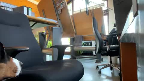 neneo21_ online show from 01-13-25, 09:19