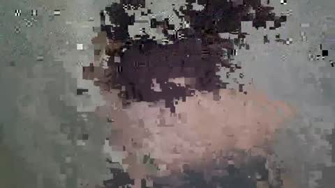 Snapshot of nesty_doll chatting on 03-18-26, 02:53 Anastasia online show from 03-18-26, 02:53