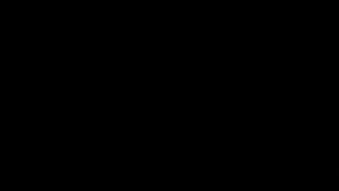 never_forget_this online show from 05-04-26, 10:28
