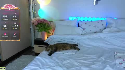 never give up  online show from 03-17-26, 12:08