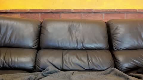 Matilda online show from 12-31-24, 05:18