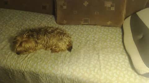 Lilly  online show from 10-22-25, 02:45