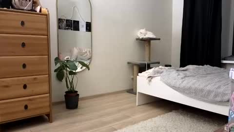 Nova online show from 11-11-25, 04:18