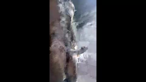 Snapshot of ngr19cmgruesa chatting on 02-15-26, 07:21 ngr19cmgruesa online show from 02-15-26, 07:21