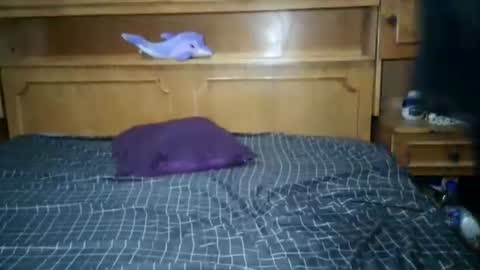 Snapshot of nicholle chatting on 07-18-26, 10:57 Nicholle online show from 07-18-26, 10:57