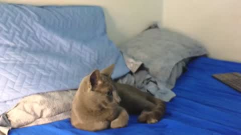 Snapshot of nickjordan1 chatting on 12-19-24, 12:34 Nicolas online show from 12-19-24, 12:34