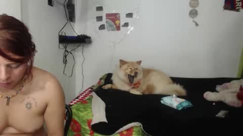 Nickyandcam online show from 04-11-26, 12:48