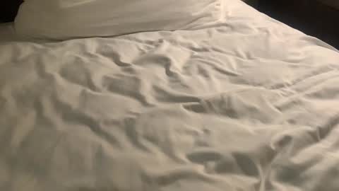 Nick Zoos online show from 01-29-25, 09:55