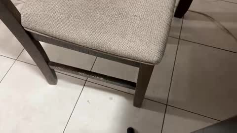 Snapshot of nicocar83 chatting on 03-05-26, 09:38 Carlos Nico online show from 03-05-26, 09:38