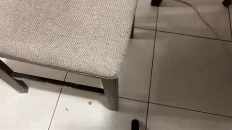 Snapshot of nicocar83 chatting on 03-14-26, 08:31 Carlos Nico online show from 03-14-26, 08:31