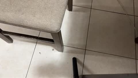 Snapshot of nicocar83 chatting on 03-15-26, 09:26 Carlos Nico online show from 03-15-26, 09:26