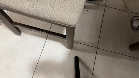 Carlos Nico online show from 02-28-26, 08:26