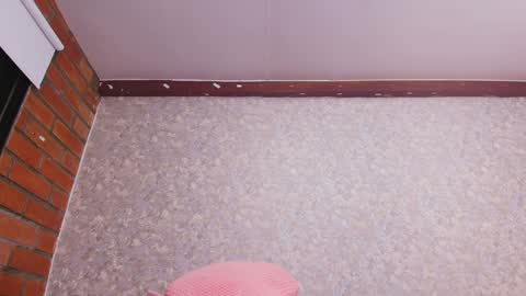 Nicol online show from 12-31-24, 01:15