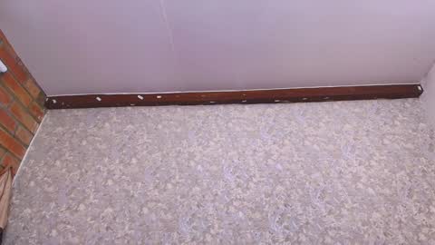 Nicol online show from 01-11-25, 07:16