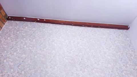 Nicol online show from 11-21-25, 03:05