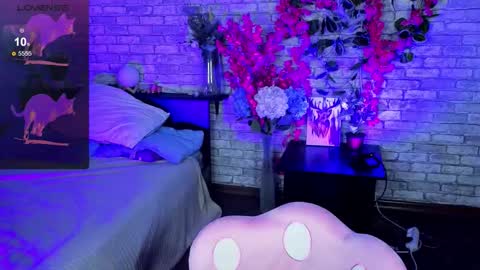 Nicole online show from 11-05-25, 09:26