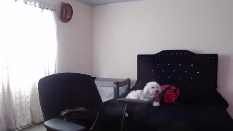 Nicole online show from 11-20-25, 08:08