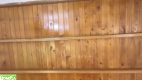 Nicoll  Independent model online show from 11-17-25, 05:13