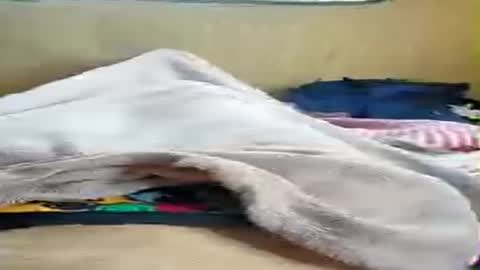 niesmialy89 online show from 07-04-26, 05:08