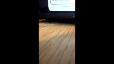 nightmoves1970 online show from 12-02-25, 01:00