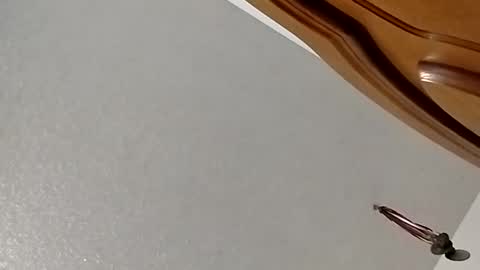 Snapshot of nightnightlol chatting on 02-11-25, 03:08 nightnightlol online show from 02-11-25, 03:08