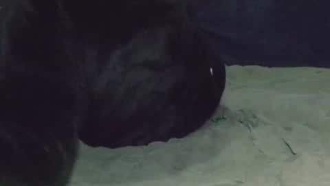 Watch us Fuck online show from 03-08-25, 05:07