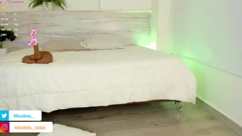 Niicoleta  online show from 03-10-25, 08:34