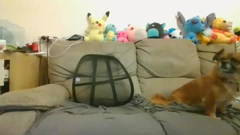 Brian and Logan Brogan online show from 01-18-25, 08:52