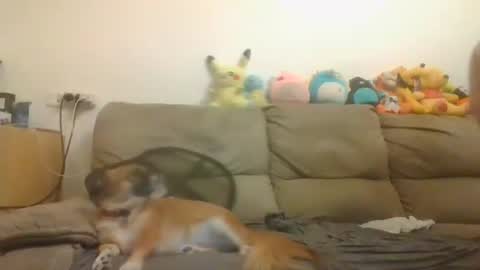 Brian and Logan Brogan online show from 11-04-25, 03:33