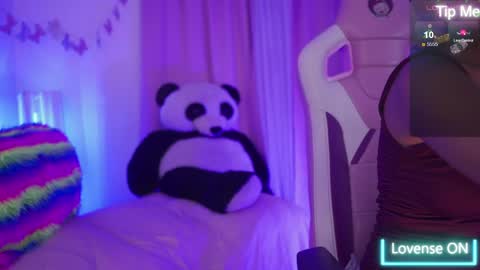 NIKERLY online show from 04-29-26, 11:36