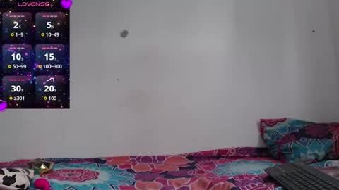 nikki_uwu online show from 12-14-25, 08:02