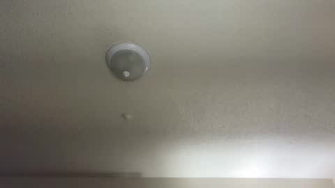 Snapshot of nikkimasters1091 chatting on 02-11-25, 10:48 Nikki Mastersgirl1091 online show from 02-11-25, 10:48