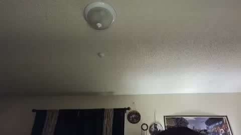 Snapshot of nikkimasters1091 chatting on 02-25-25, 02:00 Nikki Mastersgirl1091 online show from 02-25-25, 02:00